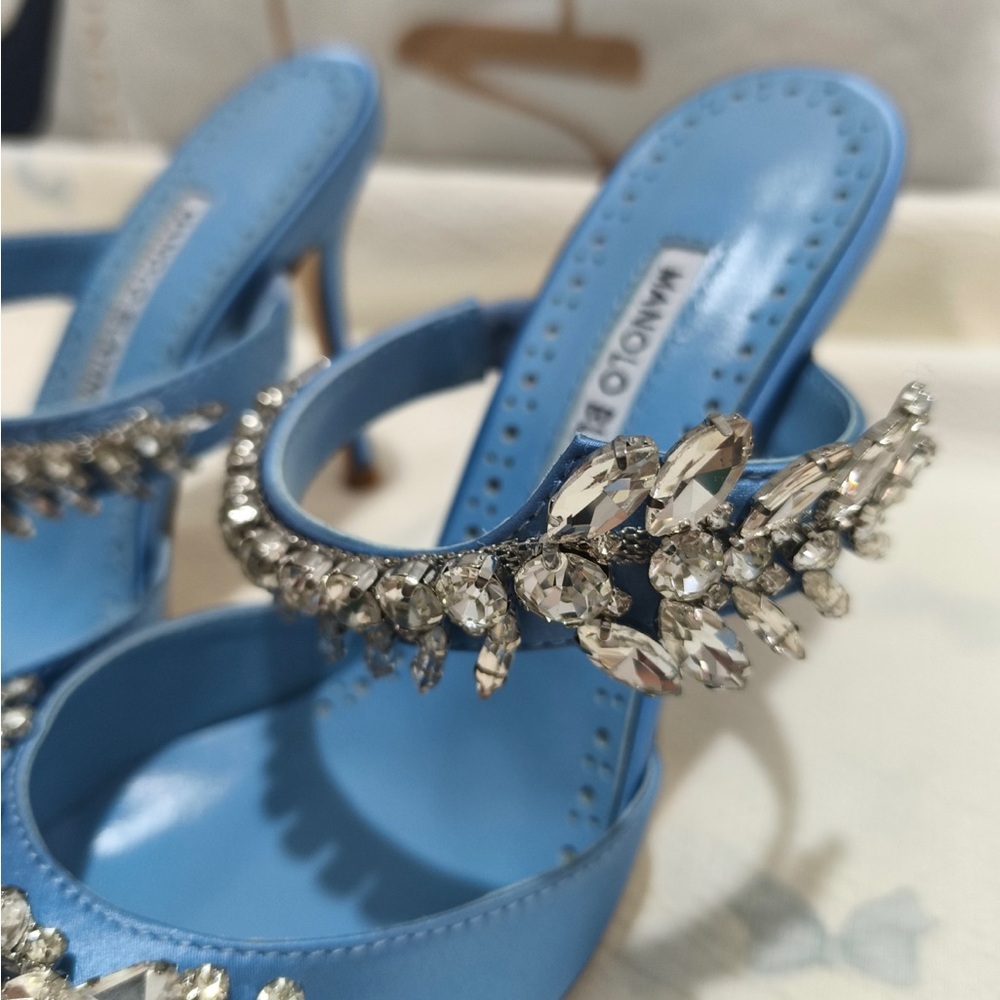 Manolo Blahnik Blue Crystal Embellished Pointed Toe Mules - Picture 4 of 9